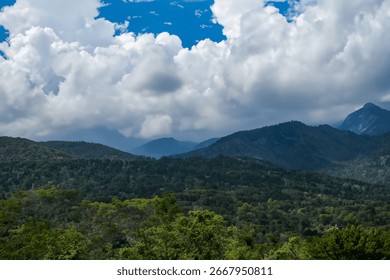A panoramic view of a mountain range under a partly cloudy sky. Lush green forests cover the lower slopes, contrasting with the darker, distant peaks.  The c...