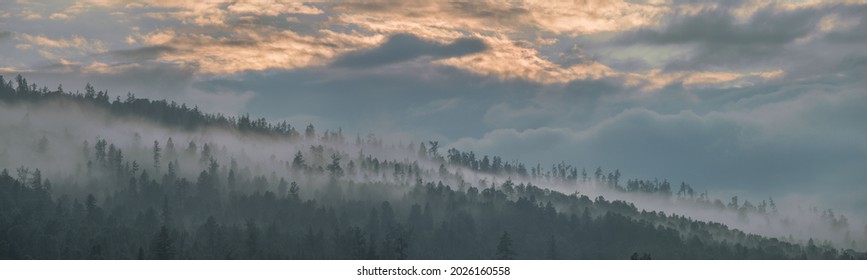 Panoramic view of mountain taiga in fog, sunset light