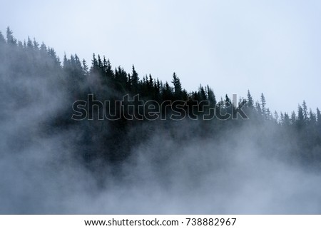 Similar – Image, Stock Photo Autumn forest and mountain lake