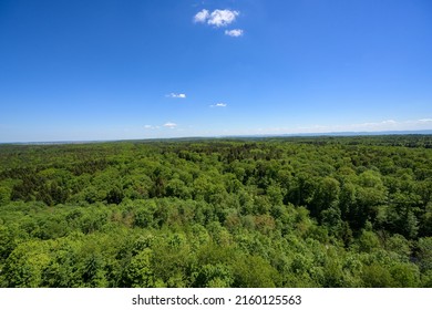 Panoramic View Of The Schönbuch Nature Park In Spring