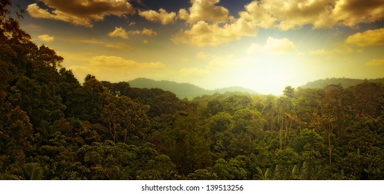 Panoramic View Of Nice Tropical Sunset Over Jungle Hills