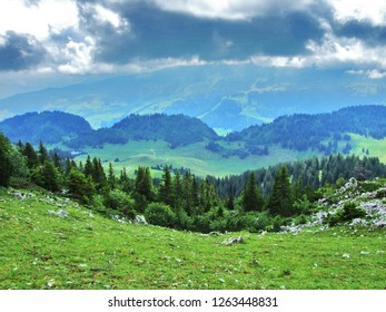 Panoramic view on the landscape from Obertoggenburg mountain - Canton St. Gallen, Switzerland - Shutterstock ID 1263448831