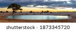 Panoramic view on the Okaukuejo waterhole in the Etosha national park in Namibia. On the right side there is a rhino drinking at the waterhole.