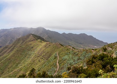 Panoramic View On Scenic Hiking Trail Over Lush Green Hill In Teno Mountain Range, Tenerife, Canary Islands, Spain, Europe. Path Leads To Remote Village Masca. Moody Mystical Vibes On Tropical Island