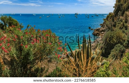 Panoramic view onto Roquebrune Cap Martin peninsula and beach near Monaco with the turquoise water of the Mediterranean Sea, South of France