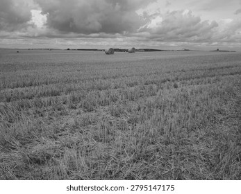 Panoramic view of open fields and lush meadows under fluffy clouds, evoking feelings of freedom, solitude, and peaceful Sunday hiking in nature