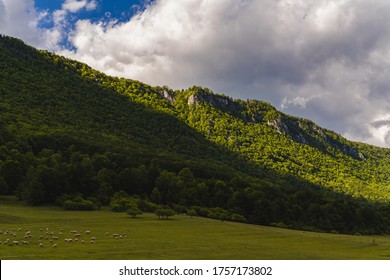 Panoramic View Of Outdoor Farm, Home Of Sheeps, Donkeys, But Most Importatnly, Cute Little Gorund Squirells. Located In Muráň - Biele Vody In Muránska Planina National Park, Slovakia. 