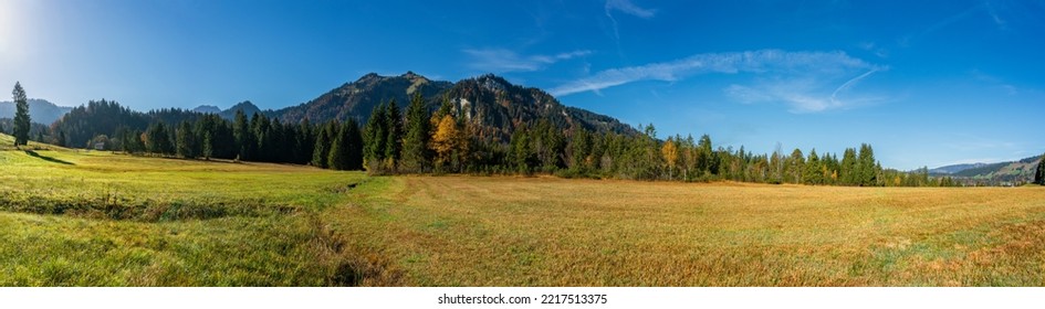 panoramic view over autumnal high moor with green and yellow grass. colored forests and mountains in background, fir, spruce and deciduous trees with orange, red, yellow and green leaves - Shutterstock ID 2217513375