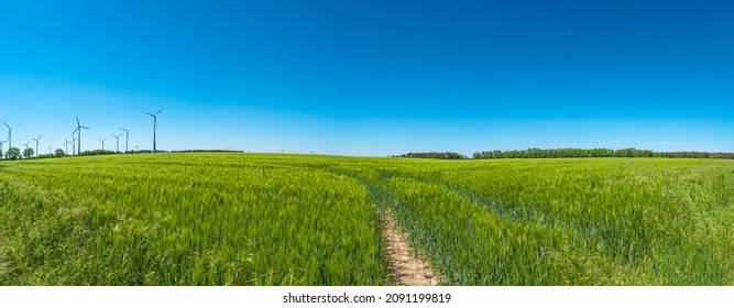 Panoramic view over beautiful farm landscape with green wheat field, wind turbines to produce green energy and a path in the field, Germany, at Spring and blue sky