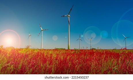 Panoramic View Over Beautiful Meadow Field Farm Landscape With Red Flowers, Wind Turbines To Produce Green Energy At Sunset Colors With Direct Sun Light With Lens Flare And Sun Rays In Germany