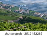 Panoramic view over Cortaccia (Kurtatsch) village,Strada del Vino,Trentino Alto Adige, Province of Bolzano,South Tyrol, northern Italy, Europe