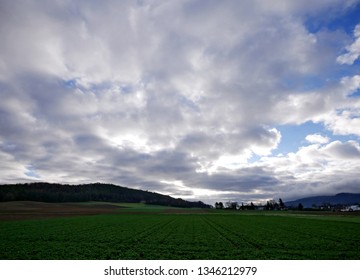 Panoramic view over a field with a cloudy sky