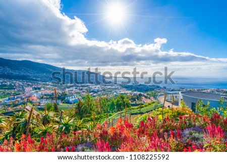 Panoramic view over Funchal, from Pico dos Barcelos viewpoint,
Madeira island, Portugal