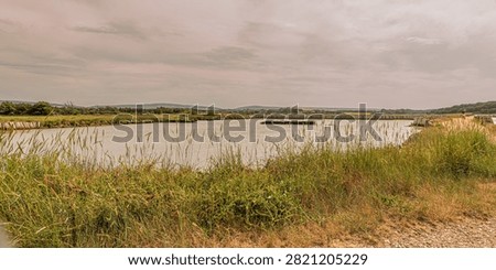 Panoramic view over the grass to the ancient salt pan at Newtown. With trees and boats and hills in the background