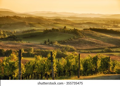A panoramic view over the hills of Chianti at sunset hour