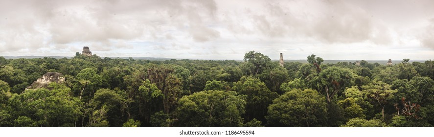 Panoramic view over the jungle and UNESCO site of Tikal, Guatemala from the top of the ruins of a Mayan temple