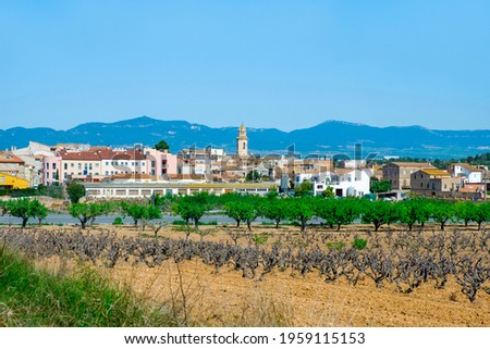 a panoramic view over Nulles, a small farming village in Tarragona Province in Catalonia, Spain, higlighting the bell tower of its church, dedicated to Saint John the Baptist