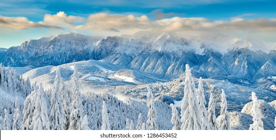 Panoramic view over the ski slope Poiana Brasov ski resort in Transylvania, Pine forest covered in snow on winter season,Mountain landscape in winter with the Bucegi Mountains in the background
