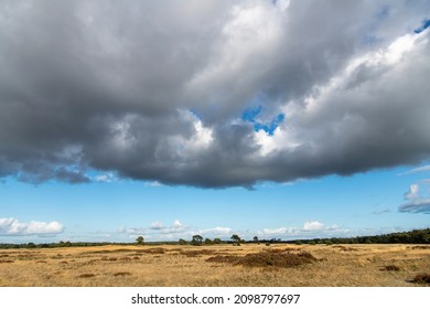 Panoramic view over some of the heathlands and woodlands of Hoge Veluwe National Park (Het Nationale Park De Hoge Veluwe) the Netherlands with dramatic dark clouds in blue sky