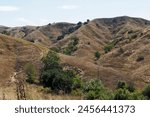 Panoramic view over the valley of the Bane Canyon in the Chino Hills State Park, California