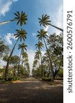 panoramic view with palm trees in Liberty Square, Belo Horizonte, Minas Gerais, Brazil.