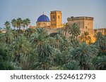 Panoramic view of the Palmeral of Elche and view of the Altamira castle and the blue dome of the Santa María basilica, located in the Valencian Community, Alicante, Elche, Spain