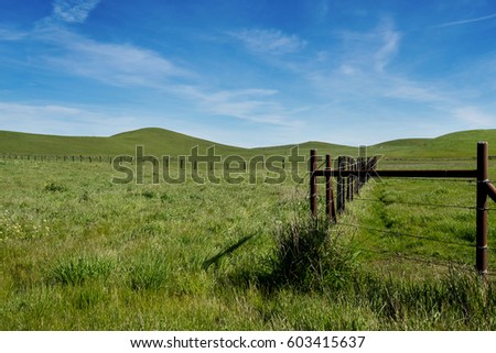 Panoramic view of a pasture at the Rush Ranch Open Space, Fairfield, California, USA, featuring the green, invasive grass that only lasts a few weeks in the winter through early spring