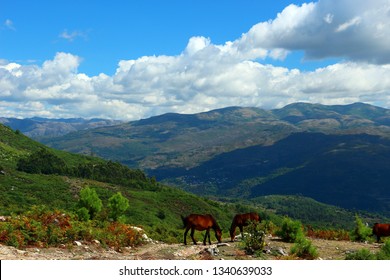 Panoramic View Of The Peneda Gerês National Park In Portugal