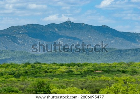 Panoramic View of Pico do Jabre Mountain and Green Caatinga Landscape in the Brazilian Semiarid Region, Matureia, Paraiba, Brazil