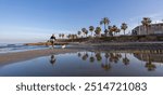 Panoramic view of Playa Flamenca beach, Costa Blanca, Spain, featuring palm trees, reflections in the water, a blue sky, and a woman walking her dog