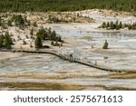 Panoramic view of the Porcelain Basin in the Norris Geyser Basin in Yellowstone National Park