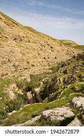 A Panoramic View Of The Prat Brook, On The Edge Of The Judea Desert, Israel, At Spring Time.