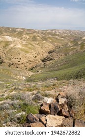 A Panoramic View Of The Prat Brook, On The Edge Of The Judea Desert, Israel, At Spring Time.