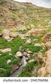 A Panoramic View Of The Prat Brook, On The Edge Of The Judea Desert, Israel, At Spring Time.