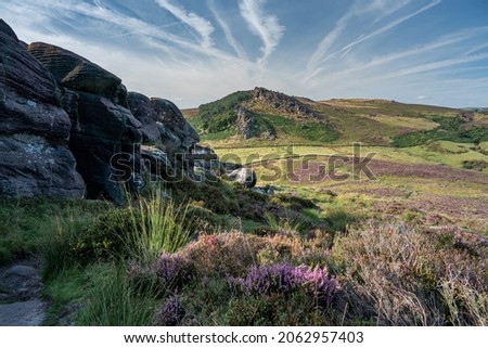 Panoramic view of purple heather at The Roaches, Staffordshire from Hen Cloud in the Peak District National Park, UK.