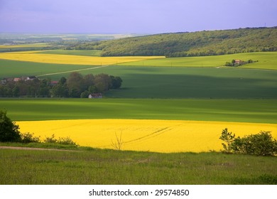 Panoramic view of rapeseed field and green meadows