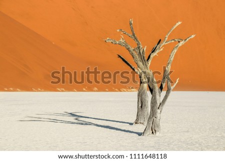 Similar – arid expanse Landscape