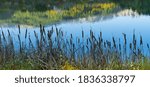 Panoramic view of the reflection of some mountains in the calm water of a lake and a foreground with vegetation in autumn.