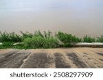 A panoramic view of a riverbank with lush green vegetation growing along the edge, the water is still and the sky is overcast.