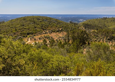 A panoramic view of a rolling countryside landscape with rolling hills, lush green forests, and clear blue skies - Powered by Shutterstock