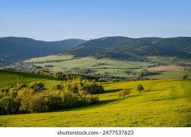 A panoramic view of rolling green hills and forested slopes in the Kralicky Sneznik Mountains of Czechia. The landscape is bathed in the warm light of a clear afternoon. - Powered by Shutterstock