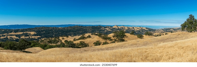 A panoramic view of the rolling hills and valleys of Joseph D. Grant County Park blending golden grass, green trees, and distant mountains beneath a clear sky - Powered by Shutterstock