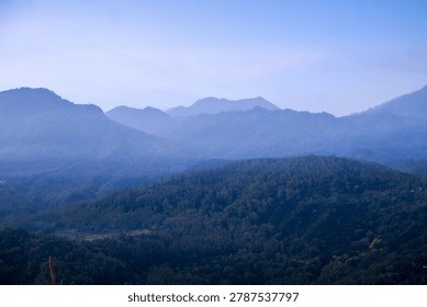Panoramic view of rolling mountain ranges covered in dense forest during misty blue hour twilight