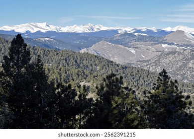 A panoramic view of rolling pine-covered hills against a backdrop of majestic, snow-capped peaks, creating a serene and expansive natural scene.