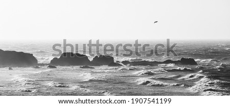 Similar – beach Landscape Sand Water