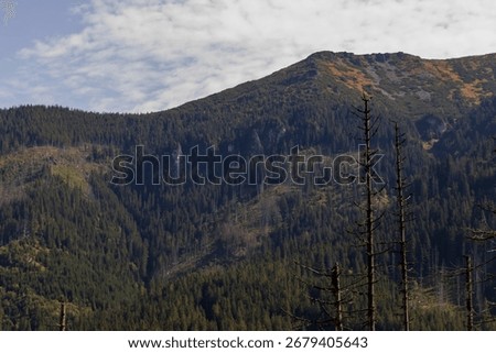 Panoramic view of rugged mountains and dense forests under a cloudy sky. Seasonal changes are evident in the landscape, highlighting nature's resilience and beauty.