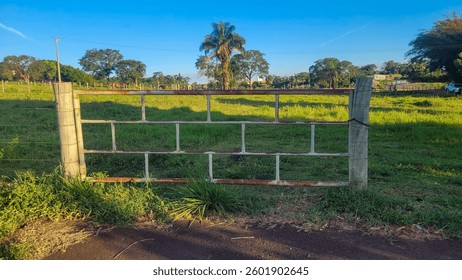 A panoramic view of a rustic metal gate with a lush green pasture in the background. The landscape features tall trees, a clear blue sky, and soft shadows cast across the path.