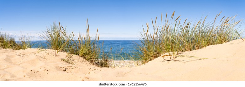 Panoramic View Of Sand Dunes With Beach Grass  