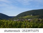 Panoramic view of Sankt Martin in Rhineland-Palatinate