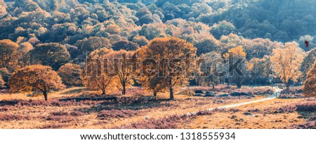 Panoramic view of scenic valley with colorful autumnal trees in Snowdonia, North Wales, UK